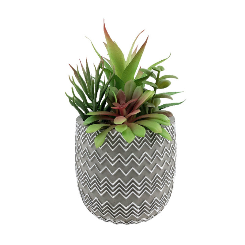 Cement Pot With Plants