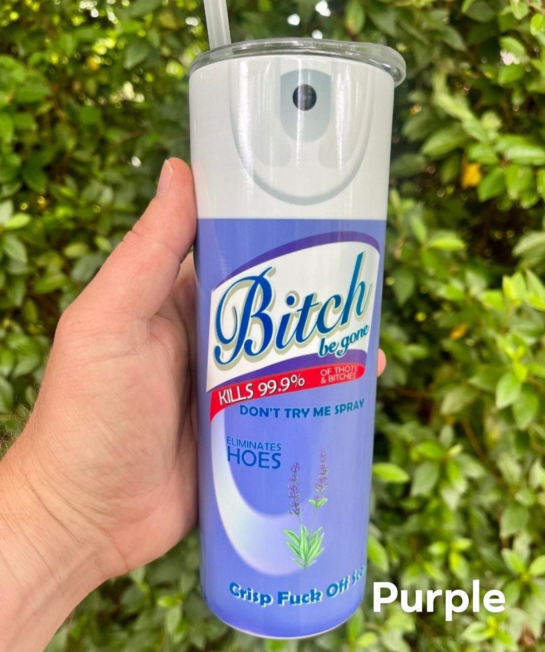 Bitch Be Gone Insulated Blue Tumbler With Straw