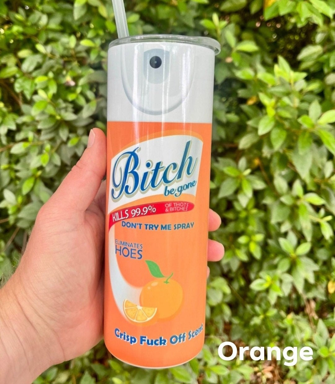 Bitch Be Gone Insulated Blue Tumbler With Straw