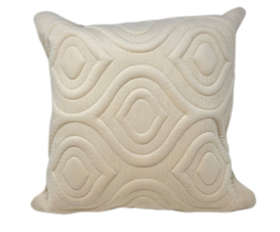 Velvet Cushion