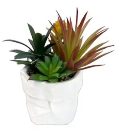 Artificial Succulents In Ceramic Pouch - 2 Asst Styles