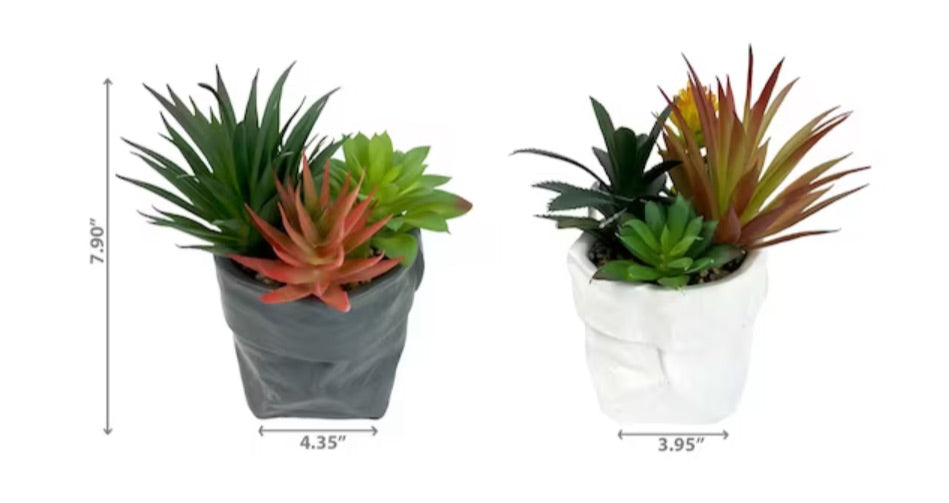 Artificial Succulents In Ceramic Pouch - 2 Asst Styles