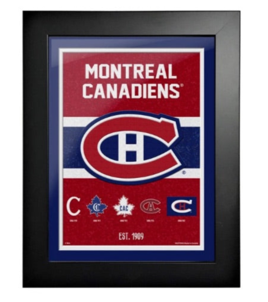 Framed Hockey Plaques - Available in 6 Styles