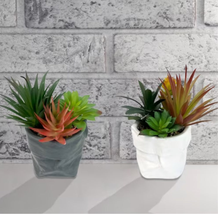 Artificial Succulents In Ceramic Pouch - 2 Asst Styles