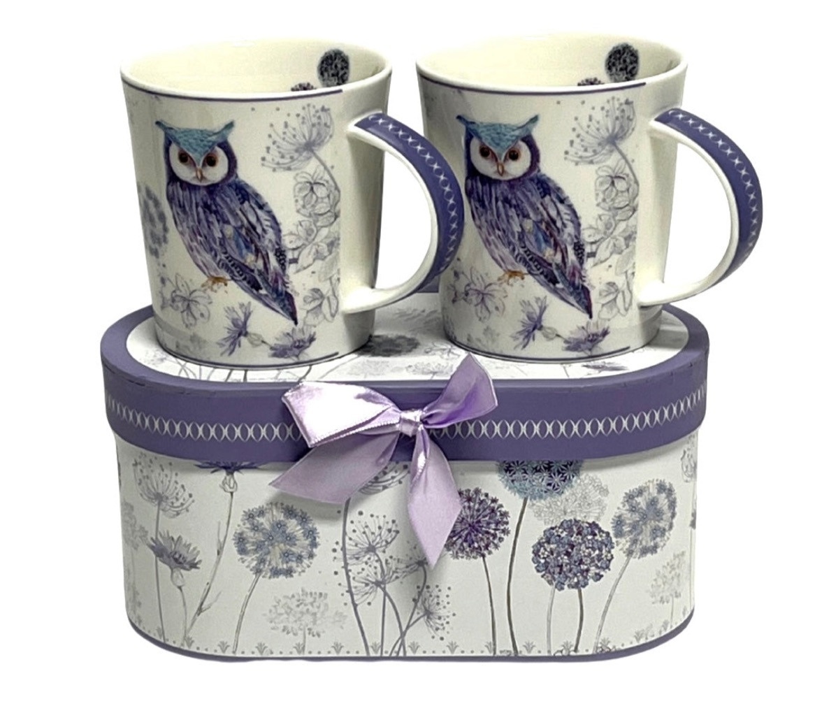 Owl Mug/Teapot & Gift Box Sets - Available in 3 Styles