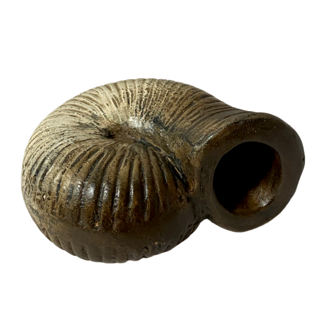 Decorative Snail Shell