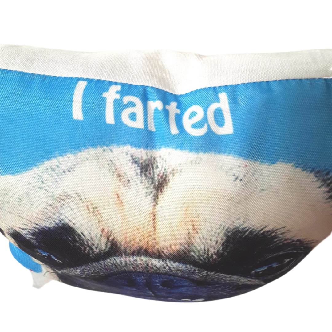 Pug Pillow - I Farted - Imperial Gifts And Decor