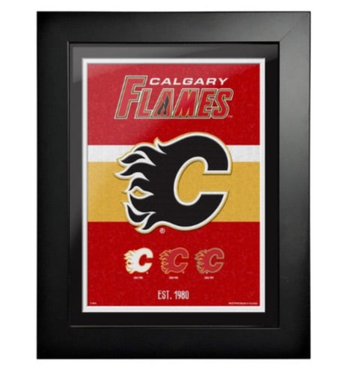 Framed Hockey Plaques - Available in 6 Styles
