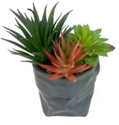 Artificial Succulents In Ceramic Pouch - 2 Asst Styles