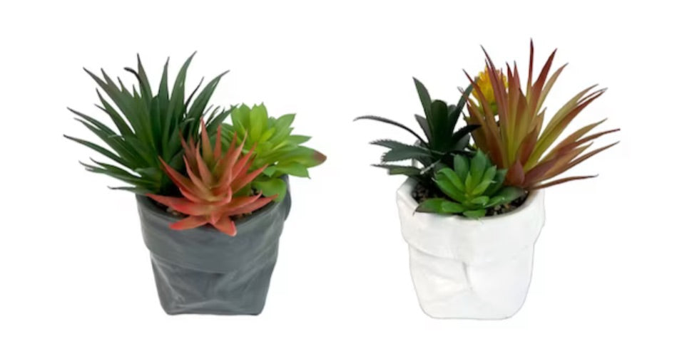 Artificial Succulents In Ceramic Pouch - 2 Asst Styles