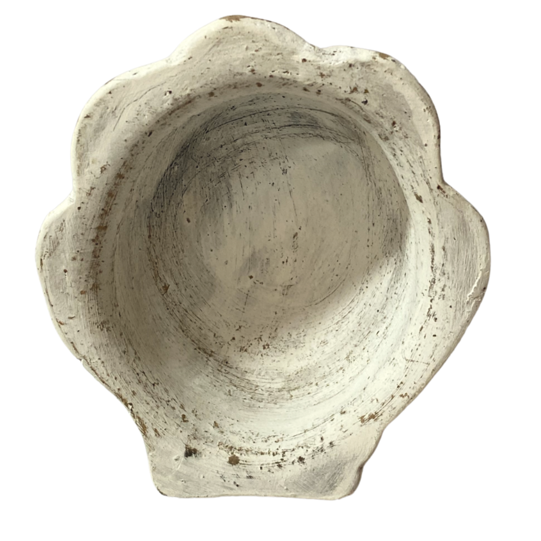 White Decorative Shell