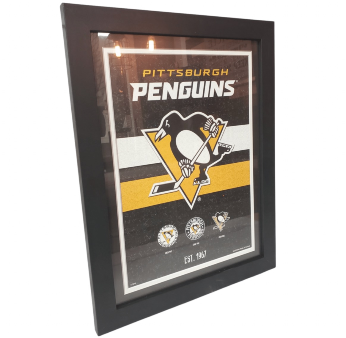 Framed Hockey Plaques - Available in 6 Styles