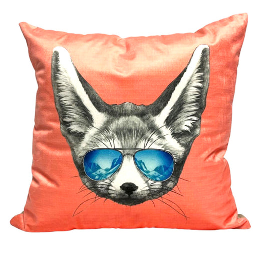 Funky Cat Pillows