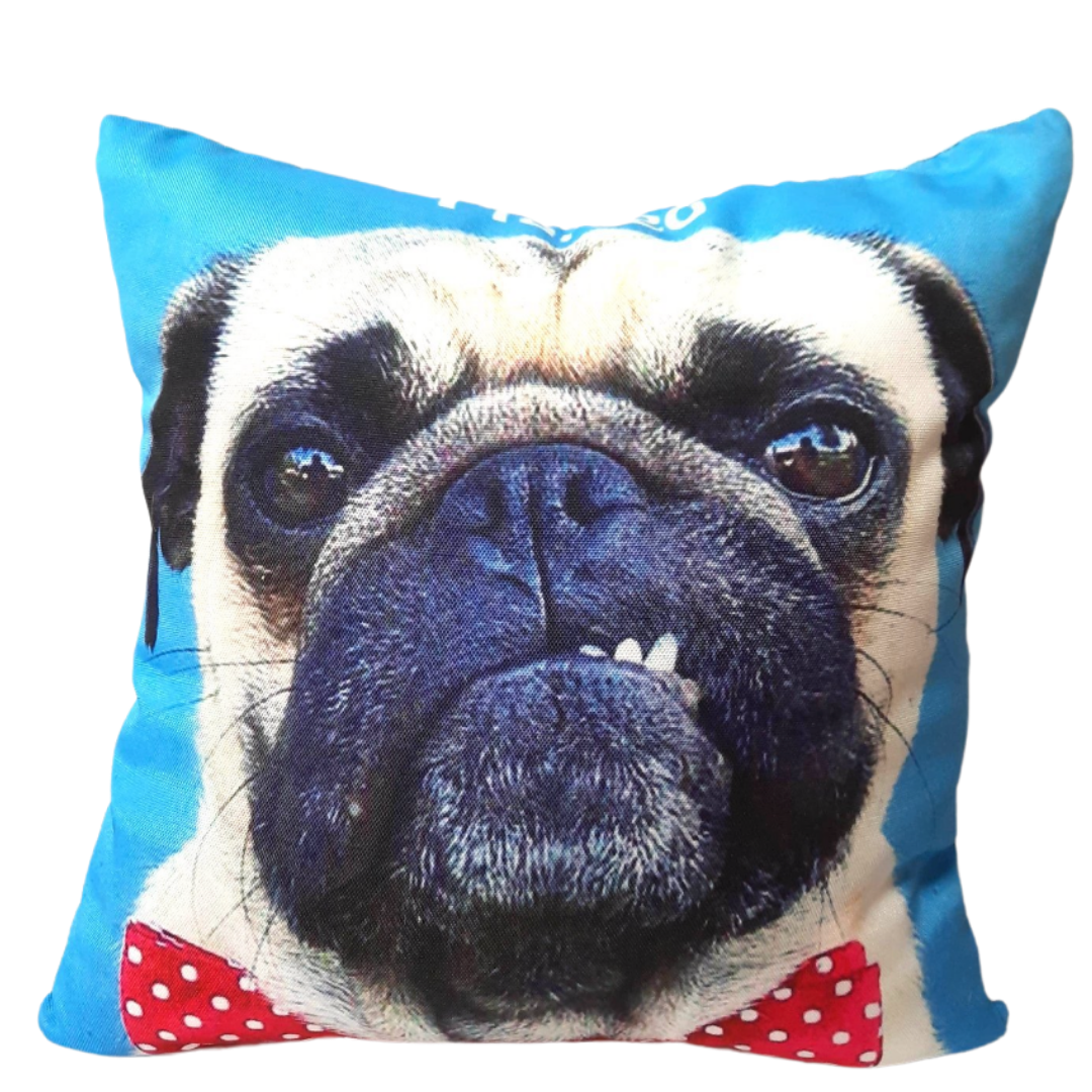 Pug Pillow - I Farted - Imperial Gifts And Decor