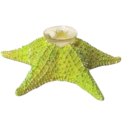 Green Starfish Candle Holder - Imperial Gifts And Decor
