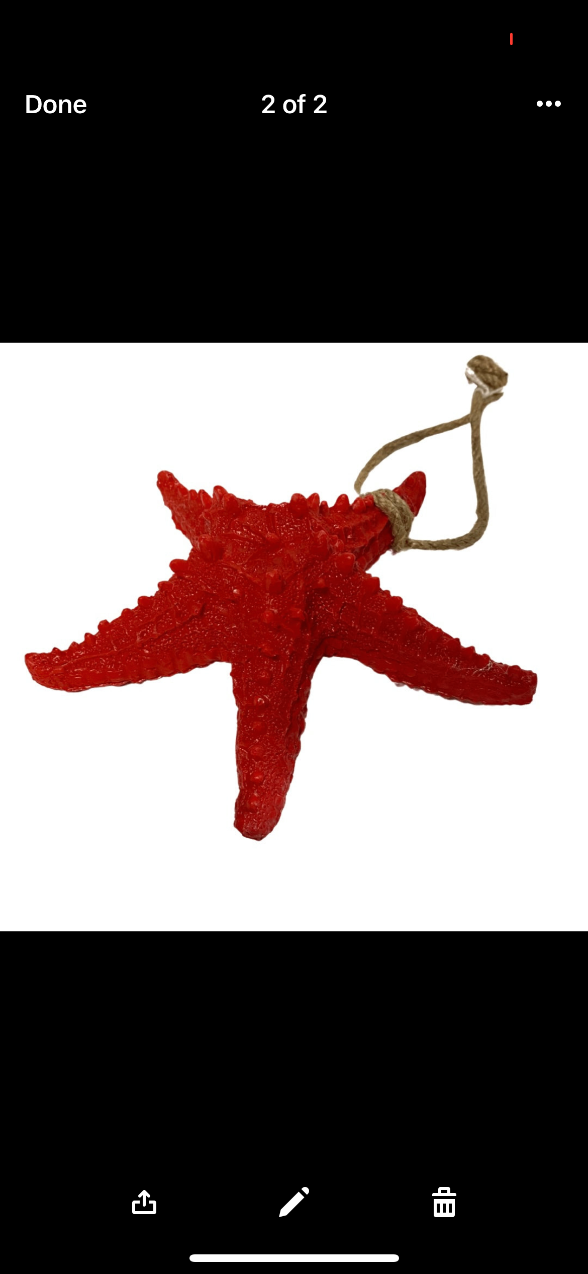 starfish rope red wall decor