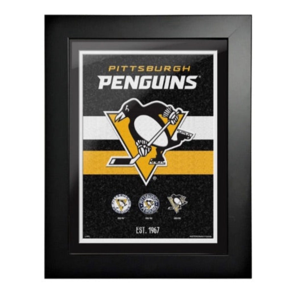Framed Hockey Plaques - Available in 6 Styles