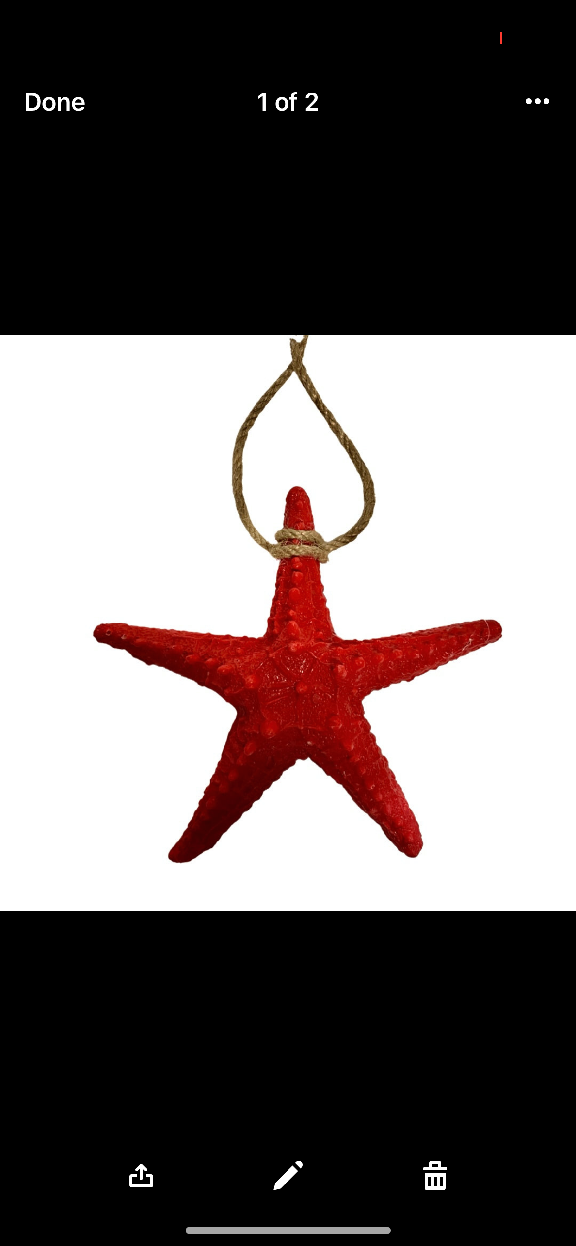 red star fish with rope wall decor