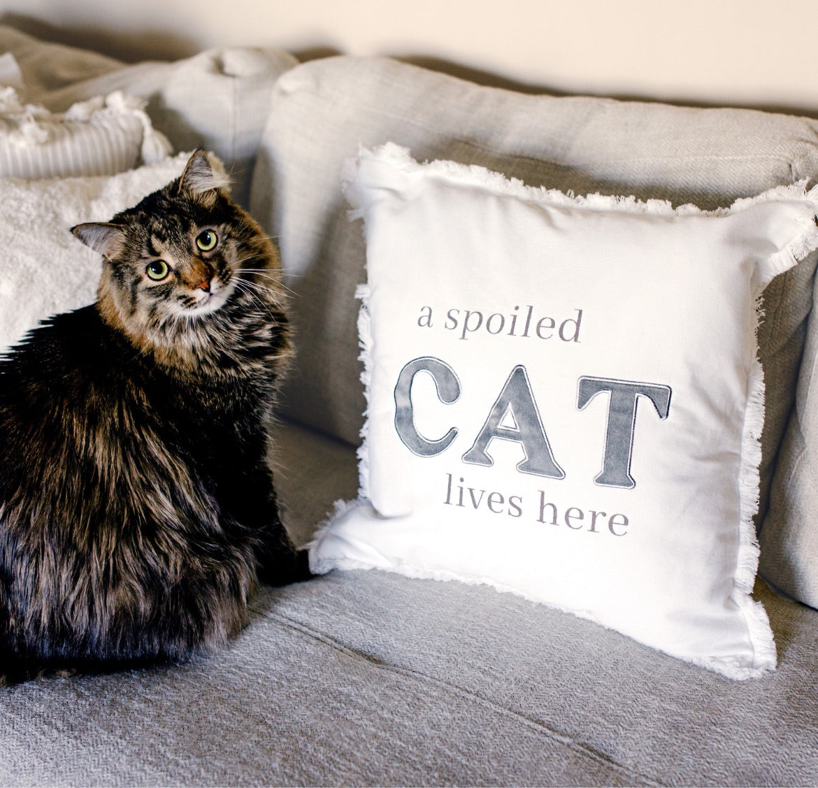 Buy Decorative Throw Pillows for Cat Lovers