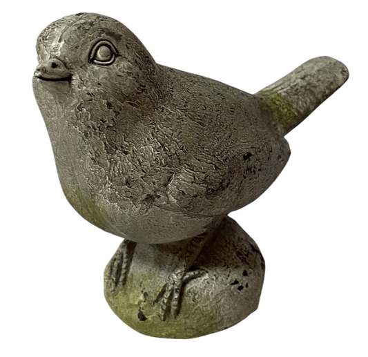 Stone Look Bird
