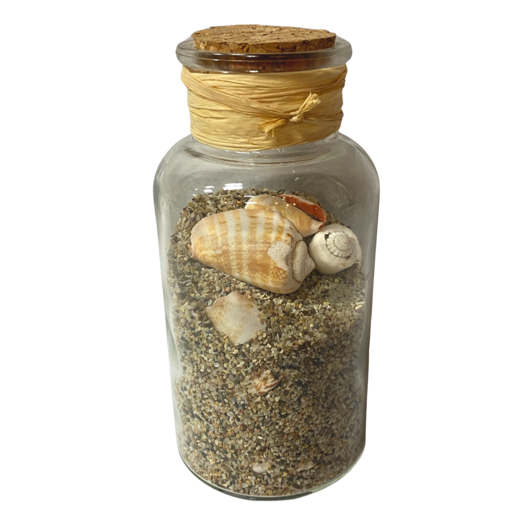 Sand & Shell Bottles - Available in 2 Styles