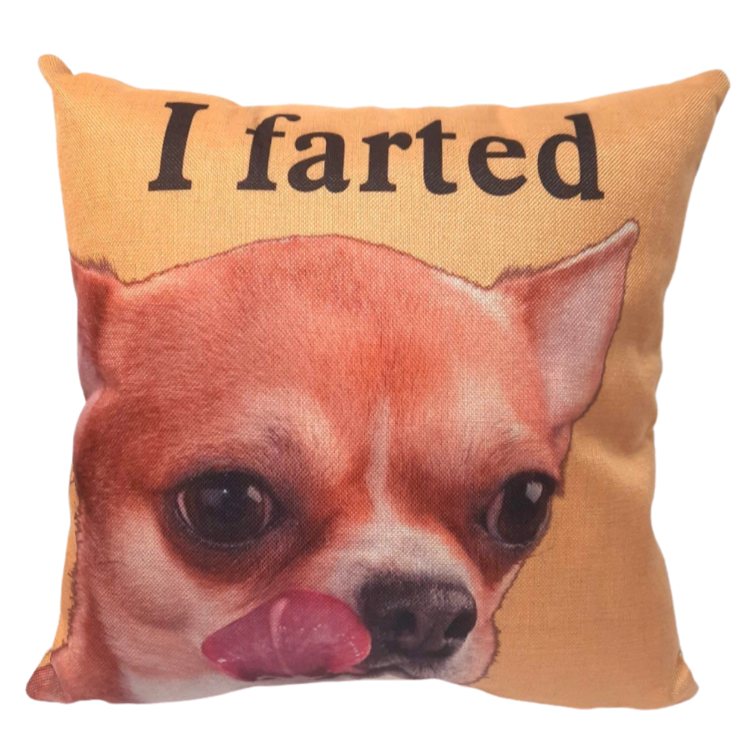 Buy Funny Throw Pillows for Pet Lovers