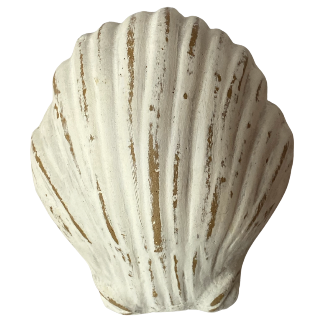 White Decorative Shell